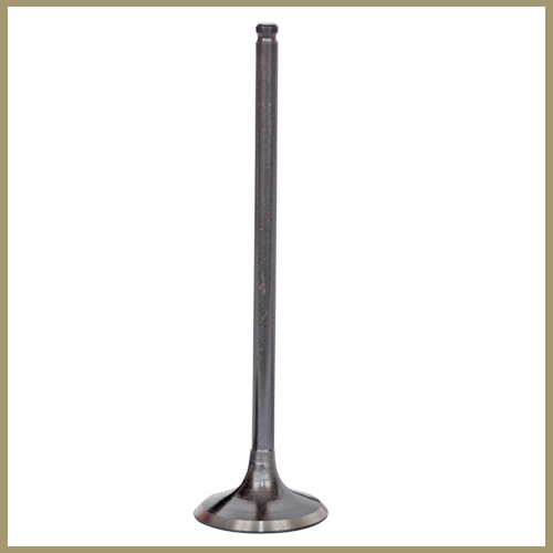 Engine Valve for car, truck, bus and tractor